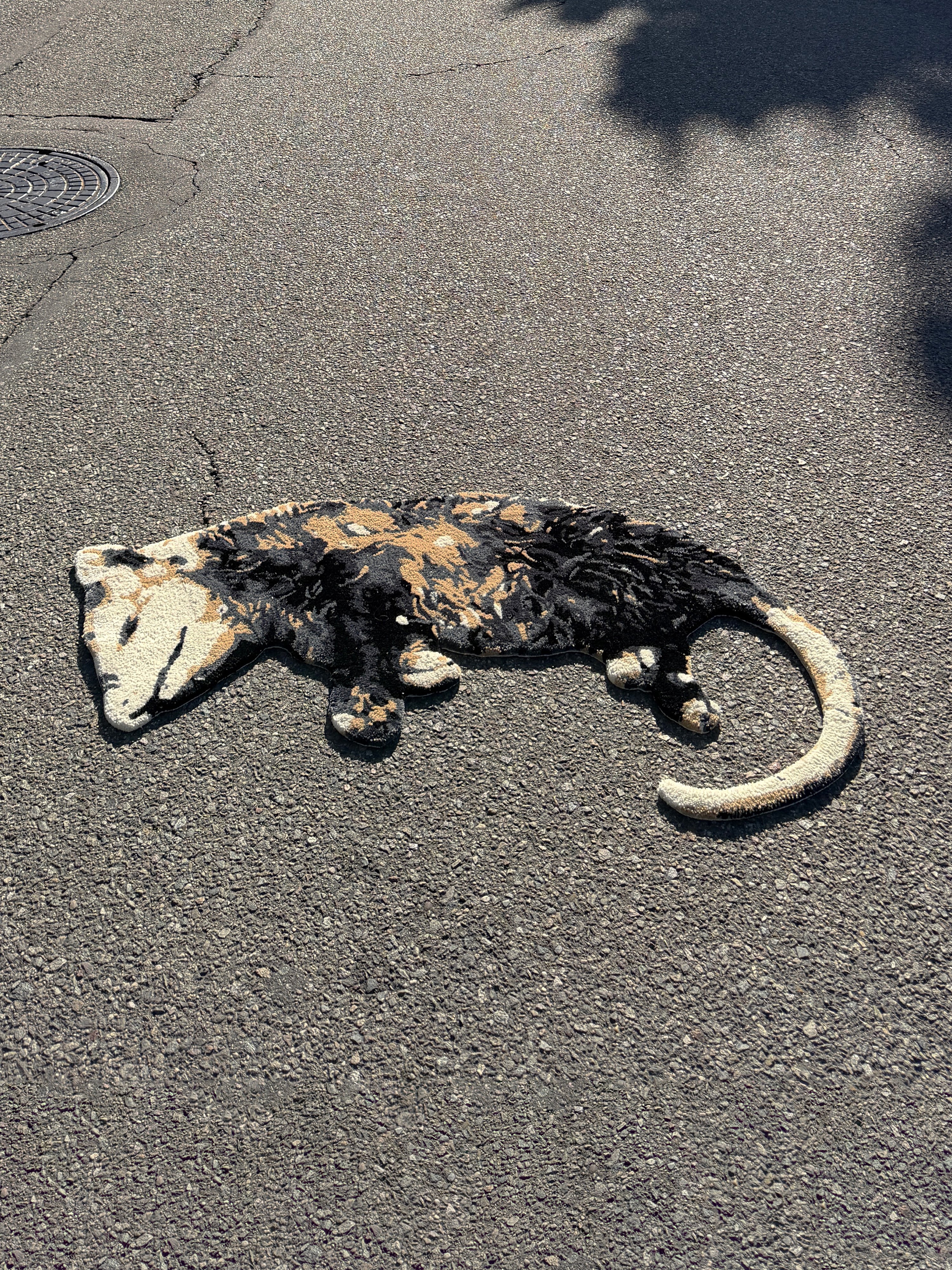 RoadKill